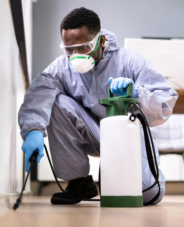 Fumigation & Pest Control