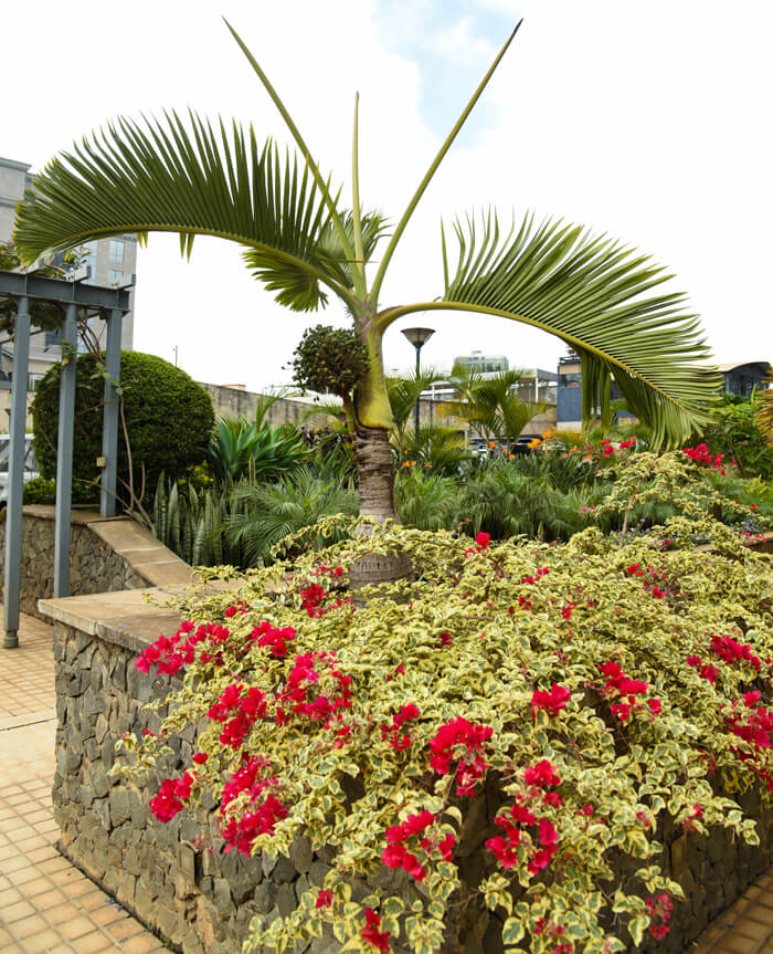 Gardening & landscaping